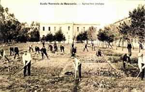 Alger-Bouzareah - Ecole Normale - Agriculture pratique